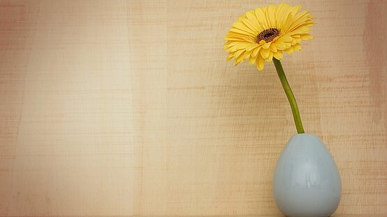 Eine Blumenvase mit einer einzelnen gelben Blume